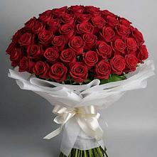 Букет 101 Красная роза Блэк Мэджик в Николаевке Воронежской области