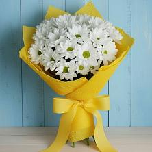 Букет цветов из:  Хризантемы в Николаевке Воронежской области