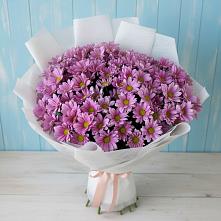 Букет цветов из:  Хризантемы в Николаевке Воронежской области