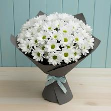 Букет цветов из:  Хризантемы #REPLACE_PRED# Николаевке Воронежской области