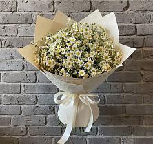 Букет цветов из:  Ромашки в Николаевке Воронежской области