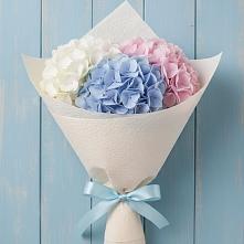 Букет цветов из:  Гортензия в Николаевке Воронежской области