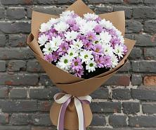 Букет цветов из:  Хризантемы в Николаевке Воронежской области