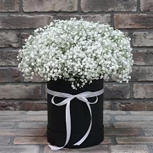 Цветочная композиция из Гипсофила в шляпной коробке в Николаевке Воронежской области