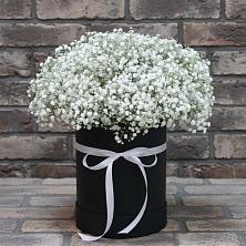 Цветочная композиция из Гипсофила в шляпной коробке в Николаевке Воронежской области