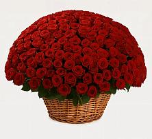 Премиум букет из: Розы в Николаевке Воронежской области